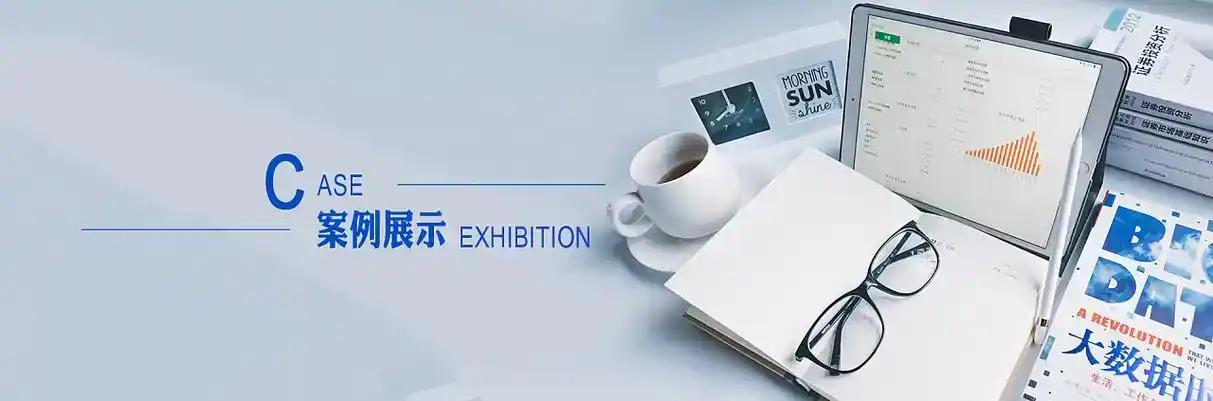 阳高县软件开发